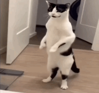 在阿里云注册一个属于自己的域名